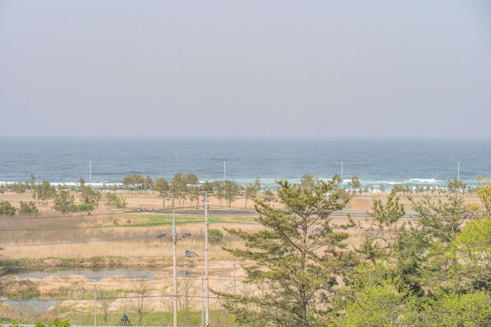 Zio Pinetree Hotel Jangjang Kültér fotó