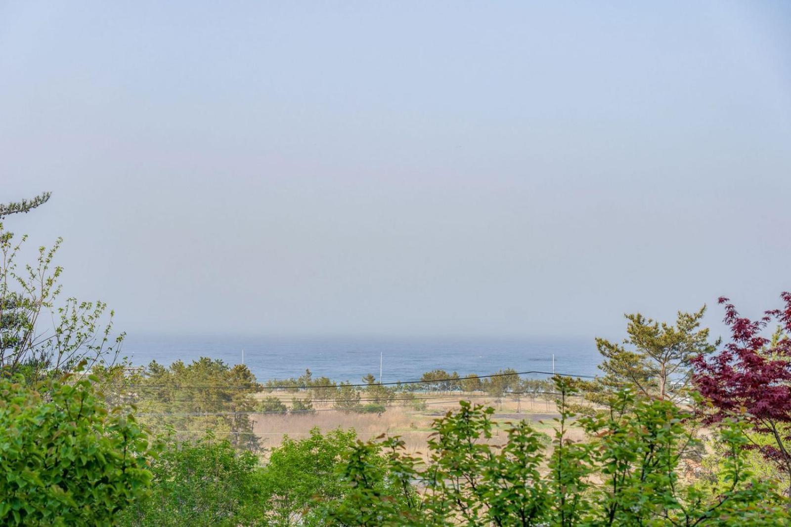 Zio Pinetree Hotel Jangjang Kültér fotó